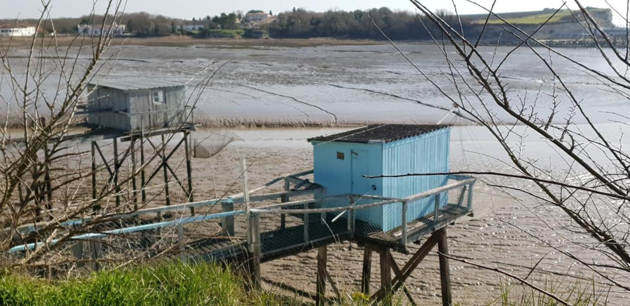 Grande Maison Charentaise Avec Vue Sur Le Chenal Superbes Couches De Soleil Sur L Estuaire De La Gironde! Mortagne-sur-Gironde Eksteriør bilde